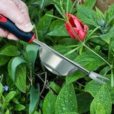 How To Get Rid Of Those Garden Weeds Flower Blog