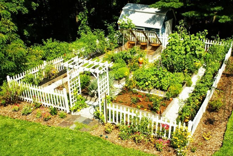 prepare a garden