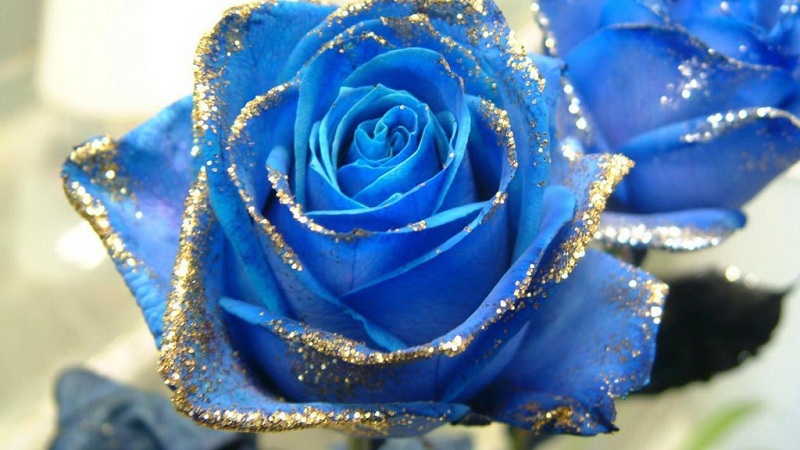 How To Paint A Rose Blue At Home- Instructions