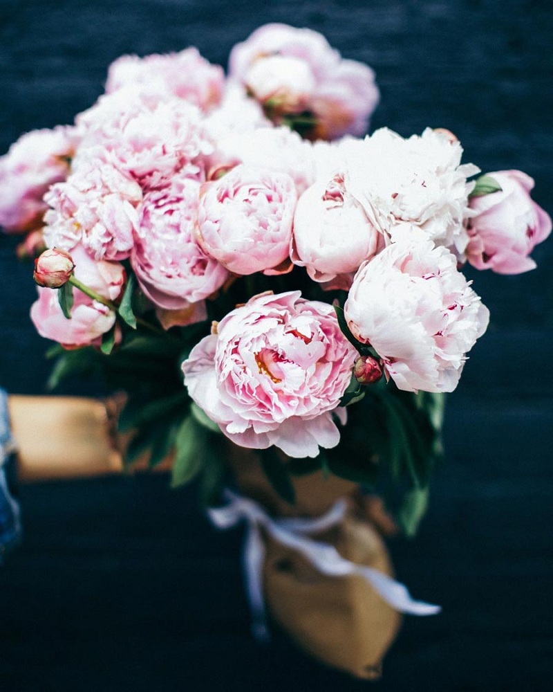 Peony Guide: From Wedding Bouquet To Decor