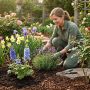 Colorful spring flower garden in Austin Texas with healthy blooming plants under bright sunlight